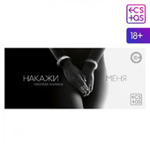 Чековая книжка для двоих 18+ Накажи меня, 5378496